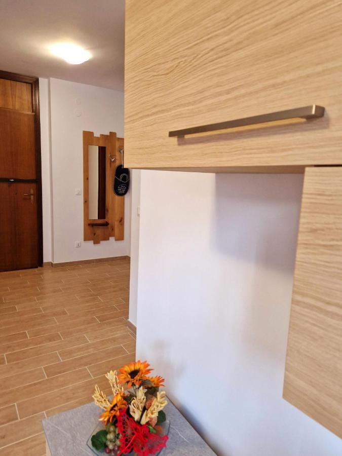 Wald Haus Apartment